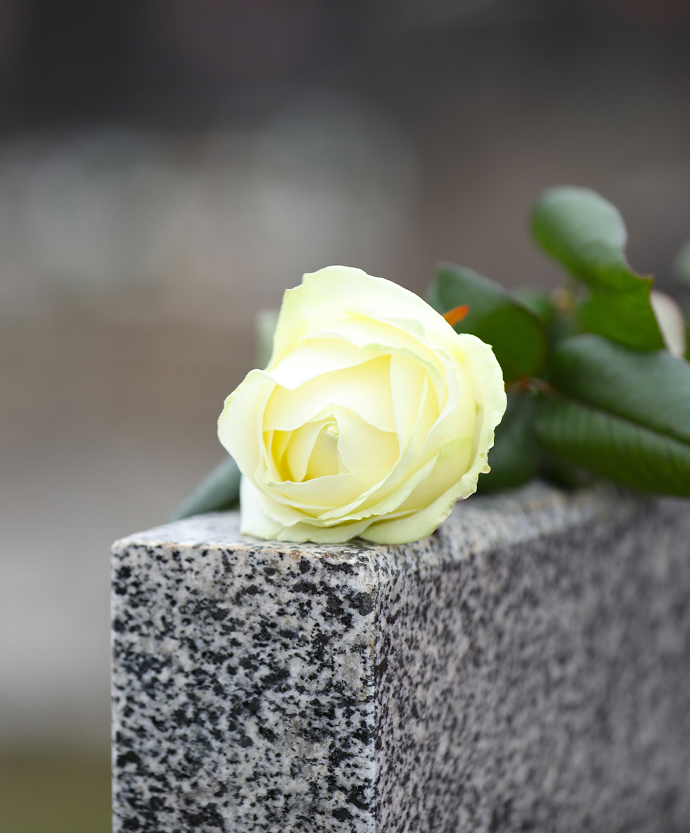 Flower on a grave stone